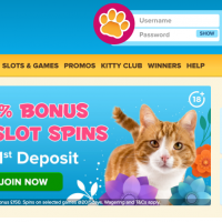 Kitty Bingo Sister Sites | Sites Like Kitty Bingo [2024 Updated]