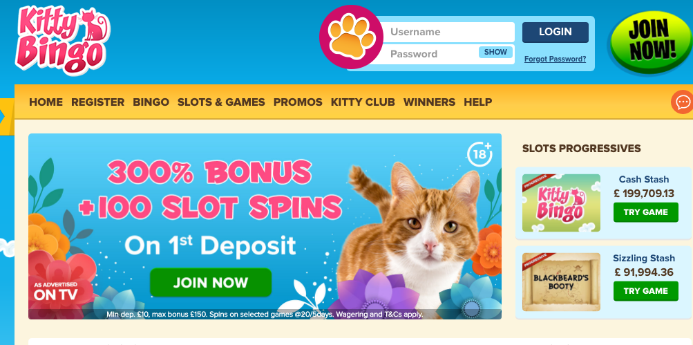 Kitty bingo exclusive slots games