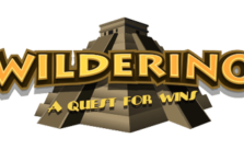 Wilderino Casino Sister Sites [2024]