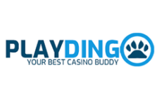 Playdingo Casino Sister Sites [2024]