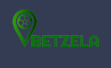 Betzela Casino Sister Sites [2024 Best]