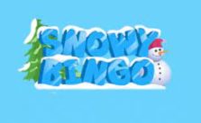 Snowy Bingo Sister Sites [2024]