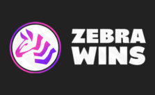 ZebraWins Casino Sister Sites [2024]