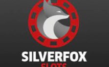 Silver Fox Slots Casino Sister Sites [2024 BEST]